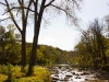 Redwood River in Autumn