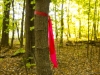 Prayer Flag Tree