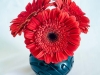 Red Gerberas in Black Vase