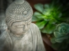 Buddha with Plants