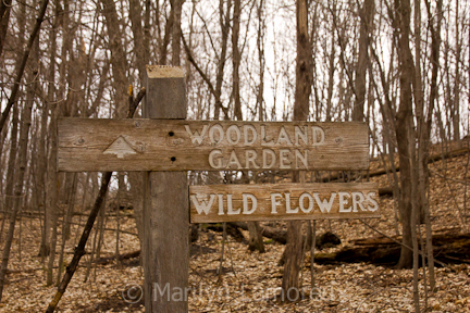 Trail Signs Minnesota Landscape Arboretum