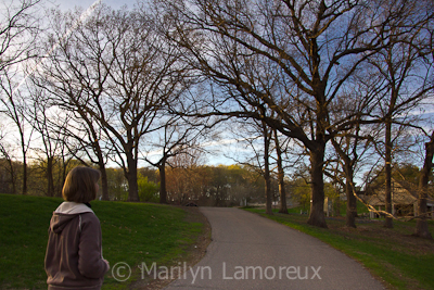 Minnesota Landscape Arboretum 