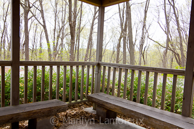 Overlooking the woods