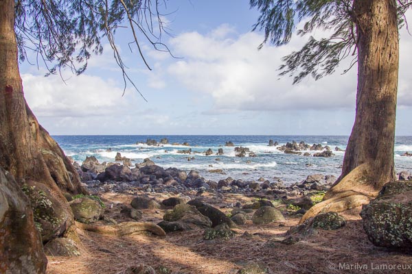 Laupahoehoe Point