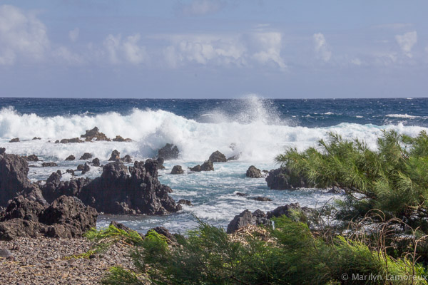 Laupahoehoe Point