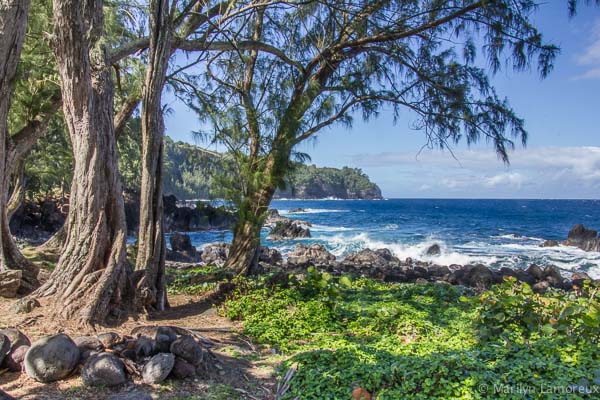 Laupahoehoe Point