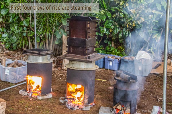 Mochi Pounding