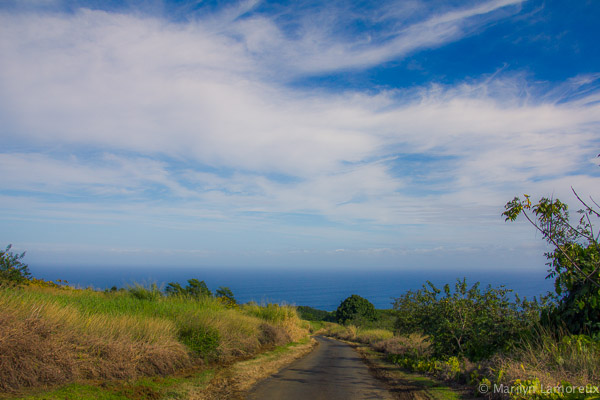 Sky, Land, Ocean