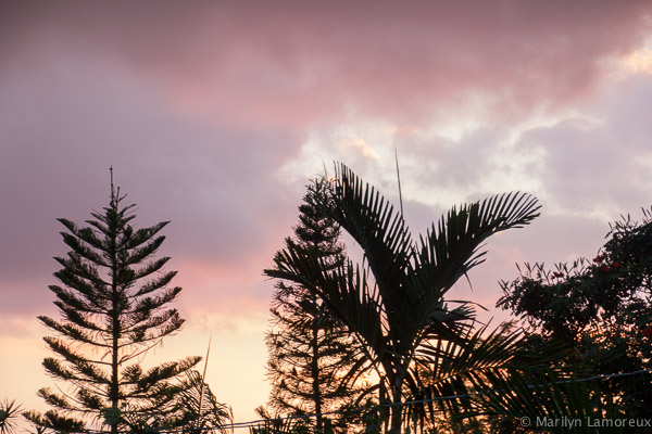 Sunset View From My Room