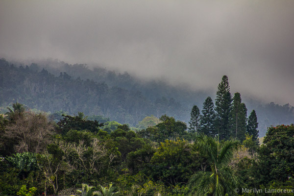 Rain Moves Over the Kona Hills