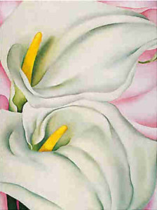 Another Georia O'Keeffe calla lily favorite