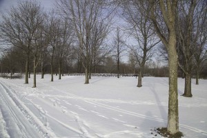 A walk in the park (French Regional)