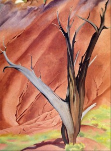 gerald's tree by O'Keeffe