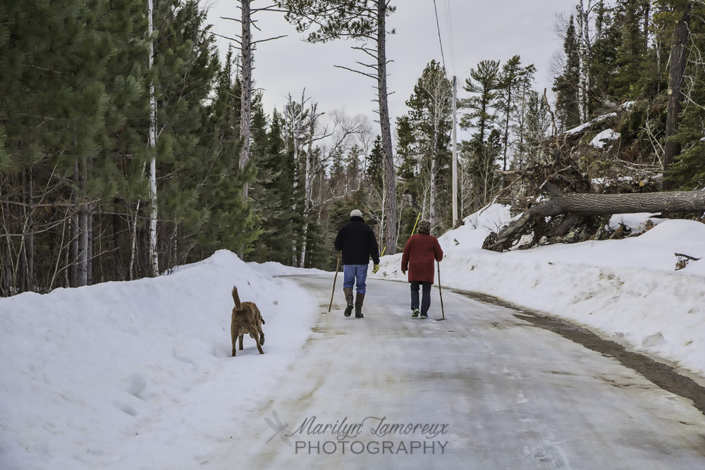 North Woods Adventure