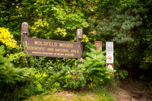 Wolsfeld Woods