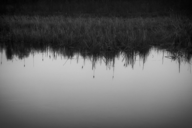 twilight reflections, north woods Minnesota, liminal landscapes