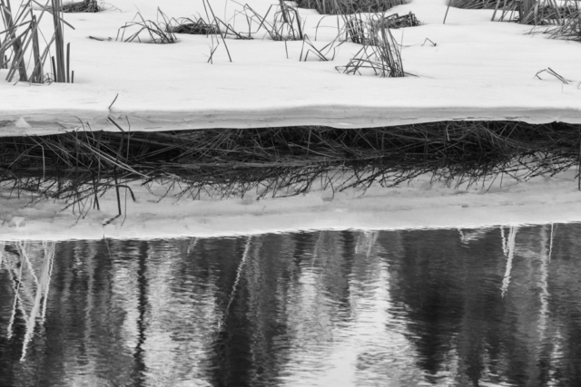 river, north woods Minnesota, liminal landscapes